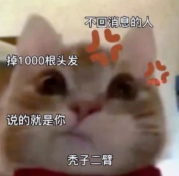 抖音歪嘴小猫是什么梗