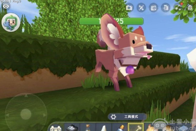迷你世界如何驯服狐狸让狐狸归顺的方法