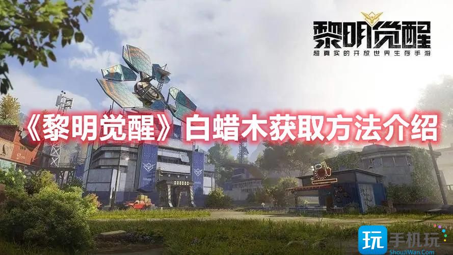 黎明觉醒白蜡木在哪获得白蜡木获取方法一览