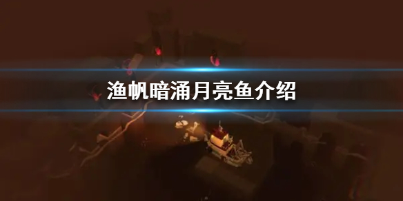 《渔帆暗涌》月亮鱼介绍  月亮鱼是什么样？