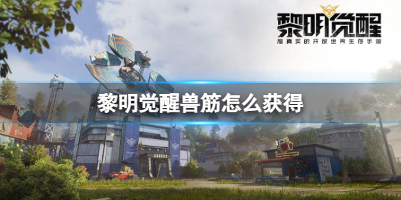 《黎明觉醒》兽筋怎么获得兽筋获得方法介绍