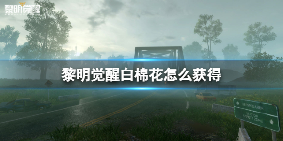 《黎明觉醒》白棉花怎么获得白棉花采集点介绍