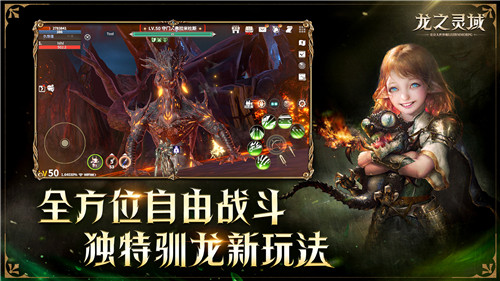 降临之门重启！网易全新魔幻冒险手游《龙之灵域》4月13日正式开测