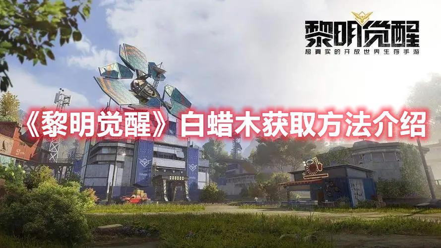 黎明觉醒白蜡木获取方法介绍