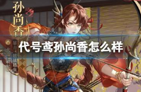 代号鸢孙尚香好不好