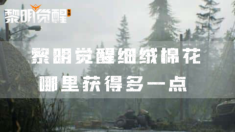 黎明觉醒细绒棉花哪里获得多一点材料采集攻略