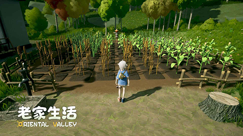 老家生活手机版