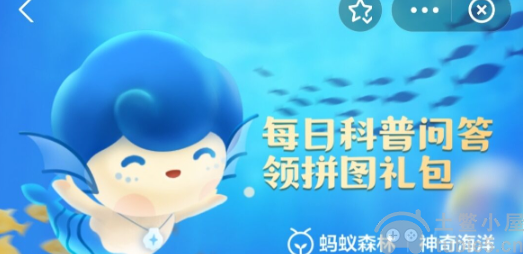 蚂蚁森林神奇海洋4.14答案是什么4.14答案公布