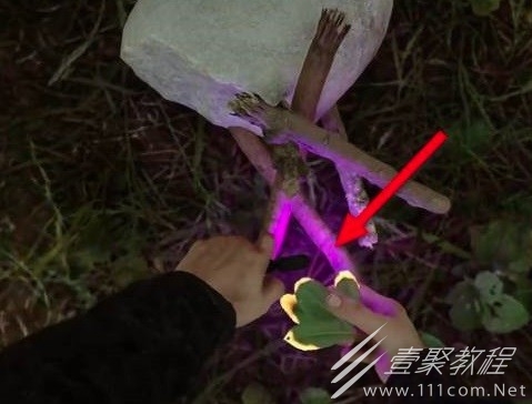森林之子篝火制造攻略