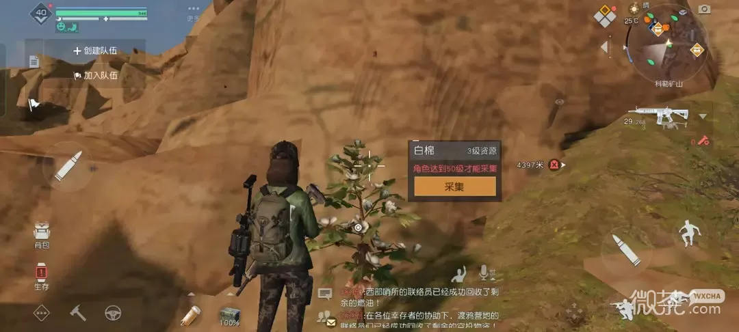 黎明觉醒白棉籽位置详情