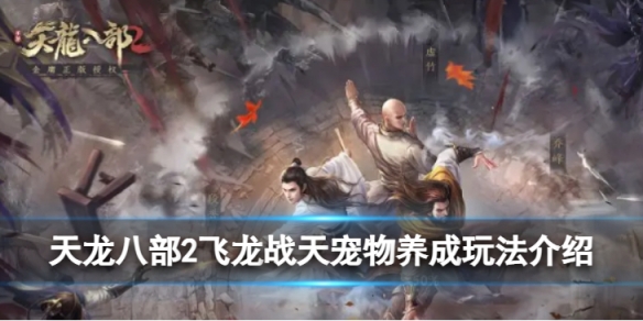天龙八部2飞龙战天宠物养成玩法
