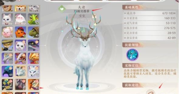 《天龙八部2飞龙战天》宠物有哪些分类