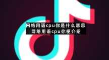 网络用语cpu你梗介绍