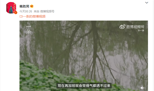 《芈月传》作者反对996 “8小时工作”是人上班的极限