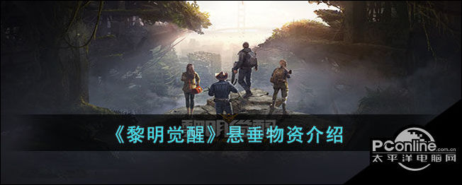 黎明觉醒悬垂物资是什么