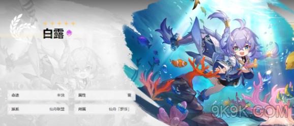 崩坏星穹铁道白露配队推荐大全攻略