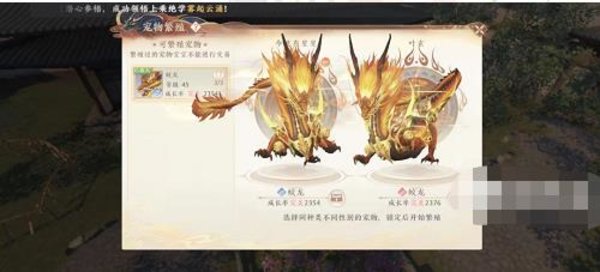 天龙八部2飞龙战天神兽繁殖 繁殖攻略
