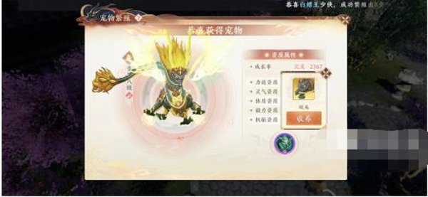 天龙八部2飞龙战天神兽繁殖 繁殖攻略