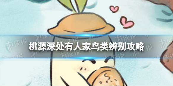 《桃源深处有人家》鸟类辨别策略鸟类喜好食物一览