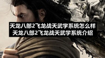 天龙八部2飞龙战天武学系统怎么样天龙八部2飞龙战天武学系统介绍