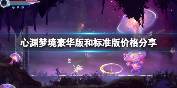 《心渊梦境》多少钱？豪华版和标准版价格分享