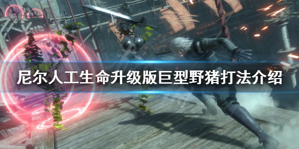 《尼尔人工生命升级版》巨型野猪怎么打？巨型野猪打法介绍