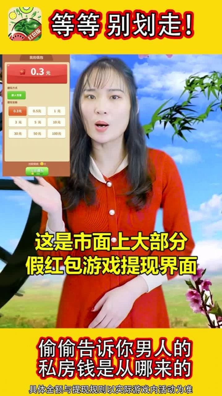 西瓜我来消中文版