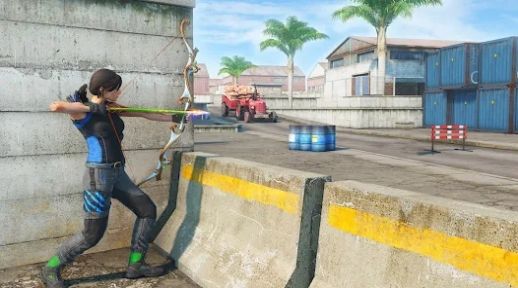 弓箭手刺客射击免费版