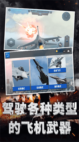 极限飞机驾驶中文版