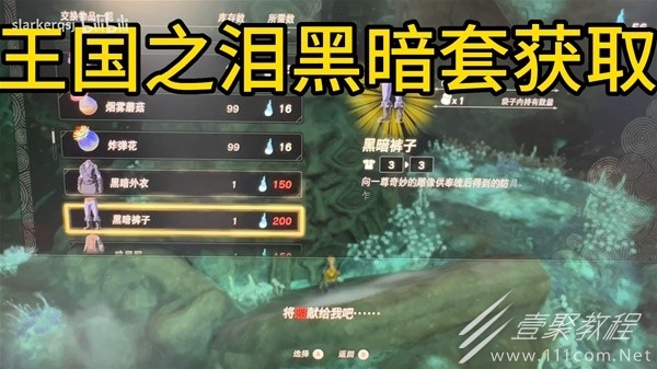 塞尔达传说王国之泪黑暗套获取教程一览