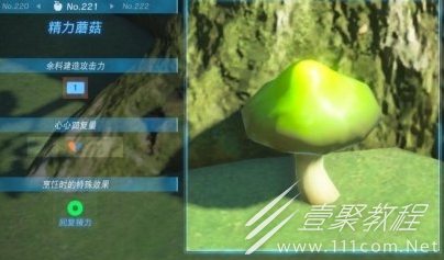塞尔达传说王国之泪精力蘑菇位置分享