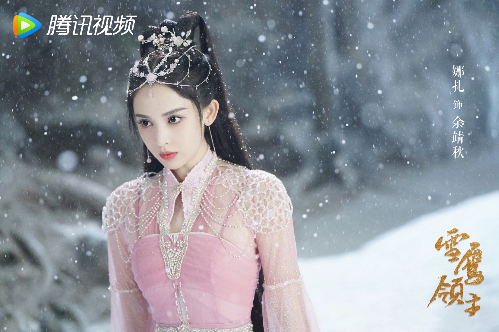 《雪鹰领主》电视剧什么时候更新