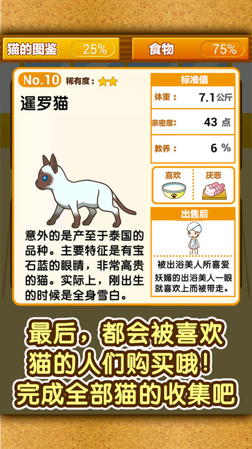 猫咖啡店游戏安装