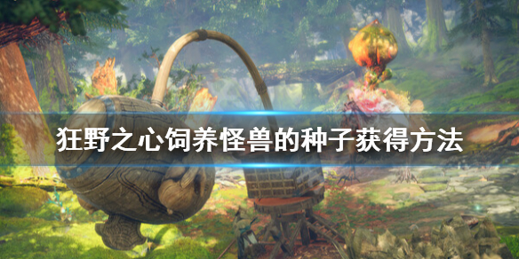 《狂野之心》饲养怪兽的种子怎么获得？饲养怪兽的种子获得方法