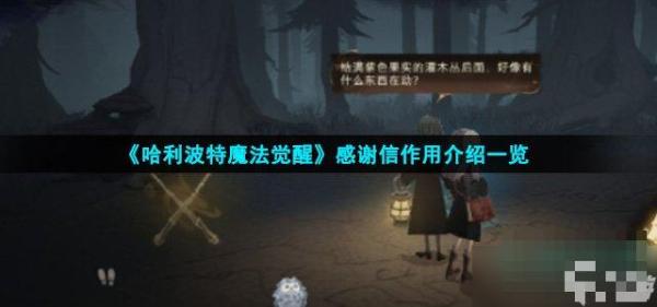 《哈利波特魔法觉醒》感谢信作用介绍