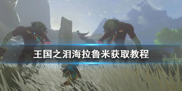 《塞尔达传说王国之泪》海拉鲁米获取教程 海拉鲁米在哪？