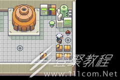口袋妖怪增强绿宝石闪电鸟位置详情