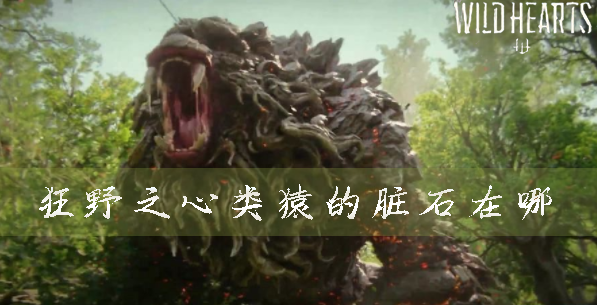 狂野之心类猿的脏石在哪