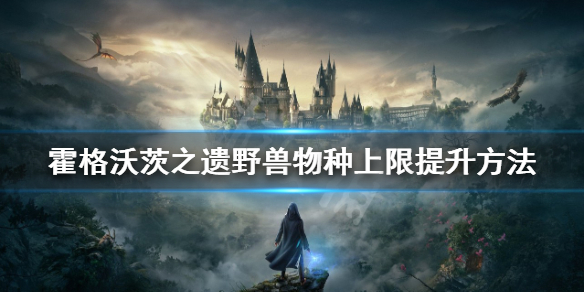《霍格沃茨之遗》怎么增加野兽物种？野兽物种上限提升方法
