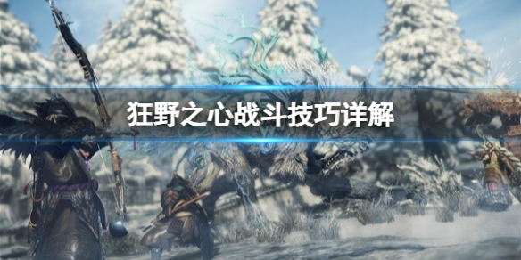 《狂野之心》战斗逻辑解析 战斗技巧详解