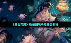 《王者荣耀》微信围观功能开启教程