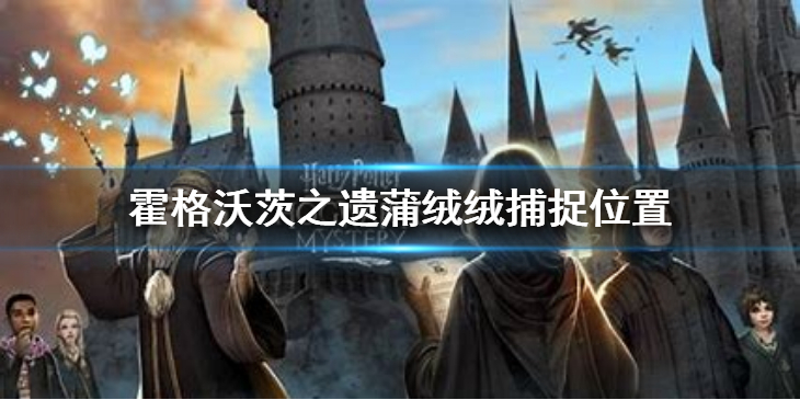 《霍格沃茨之遗》蒲绒绒在哪？蒲绒绒捕捉位置
