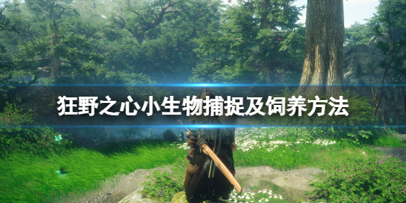《狂野之心》小生物怎么抓？小生物捕捉及饲养方法