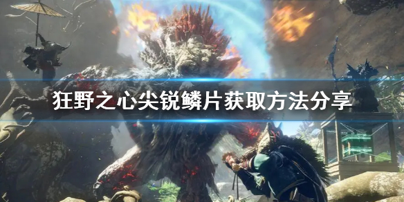 《狂野之心》尖锐鳞片获取方法分享  尖锐鳞片怎么获得？