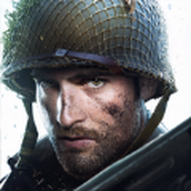 战火勋章移植版