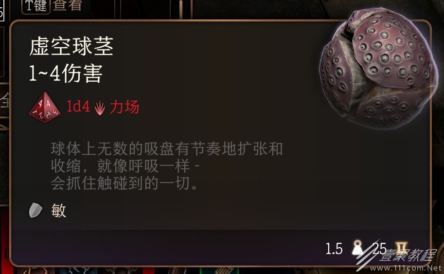 博德之门3虚空球茎作用介绍