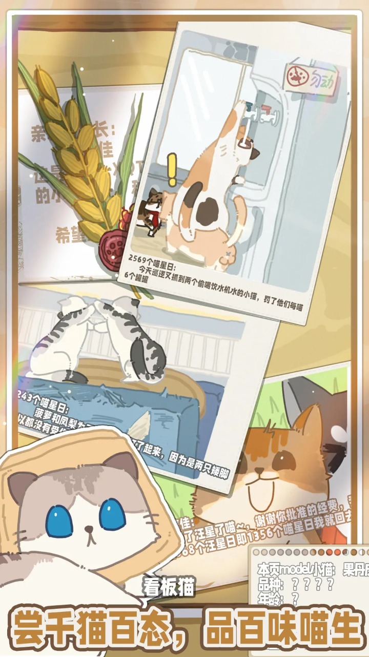 喵星来信安装包