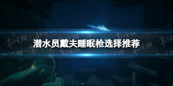 《潜水员戴夫》睡眠枪选择推荐 睡眠枪哪个好？