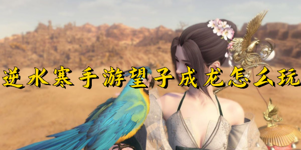 逆水寒手游望子成龙怎么玩