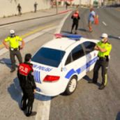土耳其警察模拟器下载